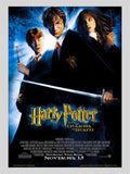 [B] Harry Potter and the Chamber of Secrets《哈利波特：消失的密室》A3 電影海報 Movie Poster
